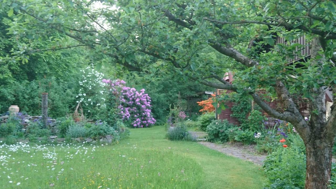 Landhaus Bernecker, Bay.W. Rinchnach المظهر الخارجي الصورة