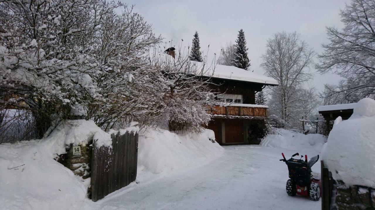 Landhaus Bernecker, Bay.W. Rinchnach المظهر الخارجي الصورة